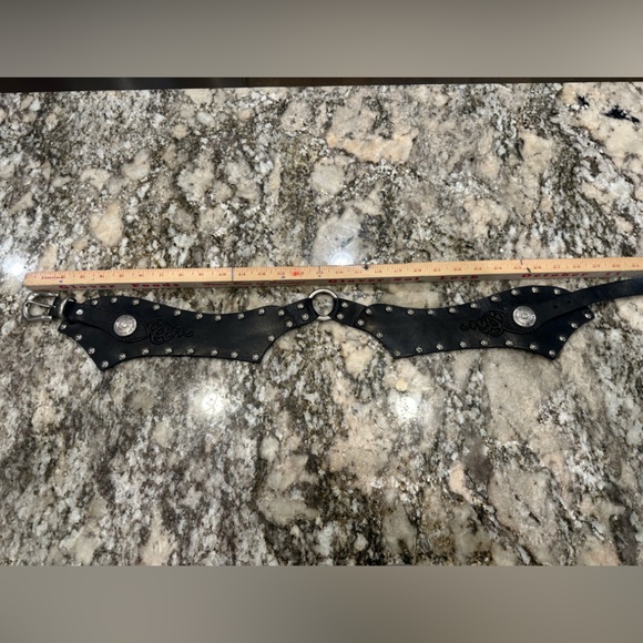 Harley Davidson Kidney Belt main image 5